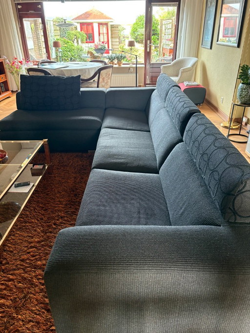 Leolux Ecksofa Anthrazit