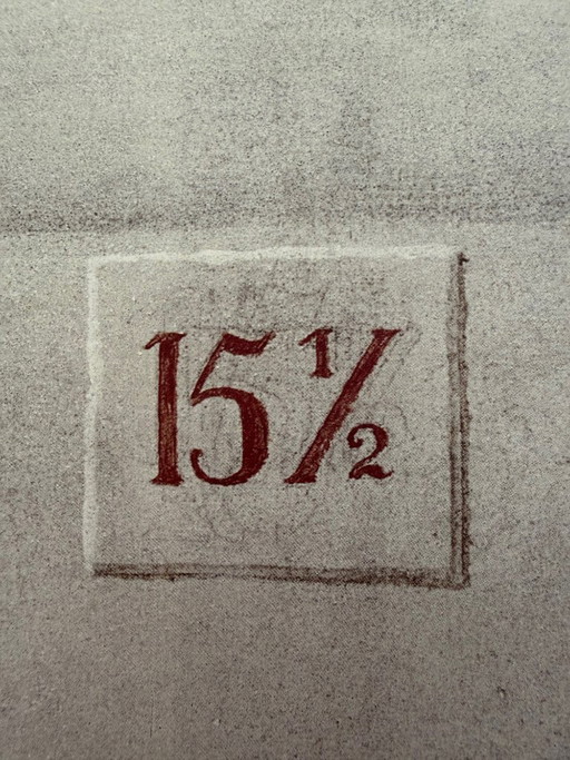 Domenico Gnoli (1933-1970), Girocollo 15 1/2, 1966, copyright Marzia Gnoli, 1994... Printed in the Netherlands, Large format