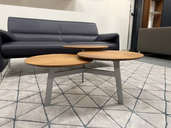 Leolux Ninfea Coffee table walnut houf, Wood, Multi Color (photo 10 of 14)
