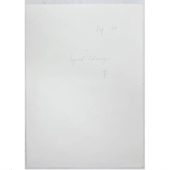 Image 1 of Watercolor painting, December