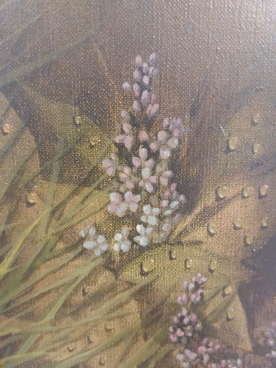 Image 1 of Frank Bogaert