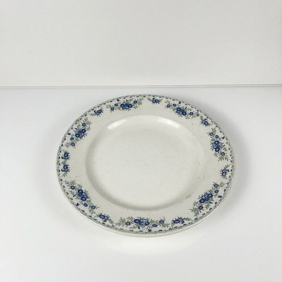 Image 1 of Round dish "Daisies", Sarreguemines, 1875 - 1920