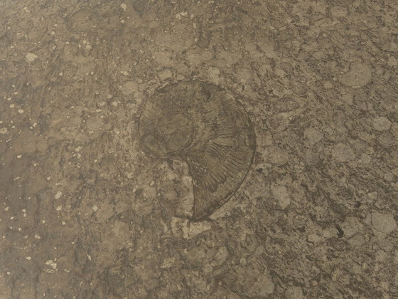 Image 1 of Brutalism Coffee Table by Peter Draenert, 1970s, Vintage