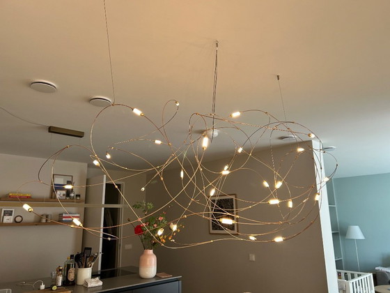 Image 1 of MOOOI - stormo di luce 31