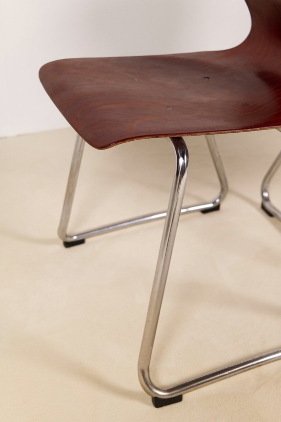 Image 1 of 6x Pagholz Flötotto Stoelen