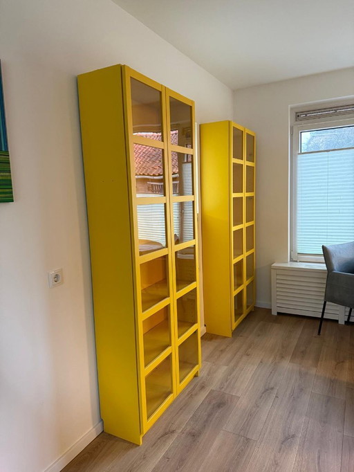 Vitrine (boeken) kasten