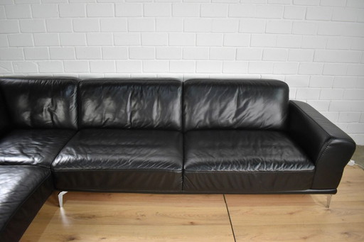 Willi Schillig Ledersofa Montanaa mit Federkern Ledercouch Lederecksofa L Form Garnitur Echtleder hochwertig Verstellbar modern 
