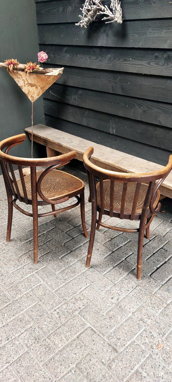 Image 1 of Thonet stoelen 2 stuks
