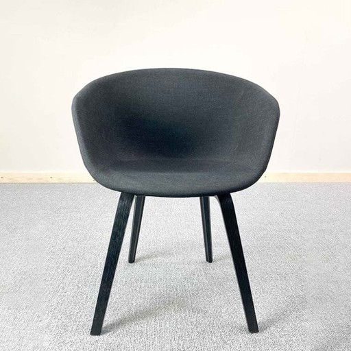 Hay Aac23 Meeting Chair