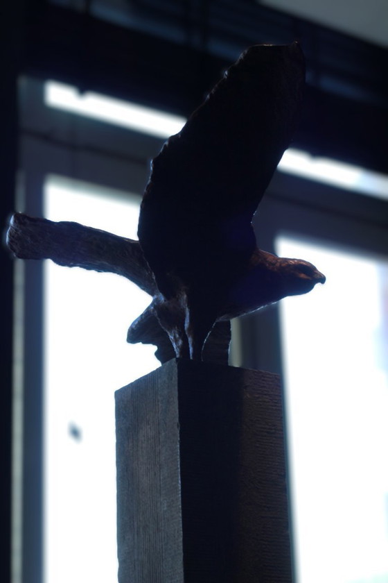 Image 1 of Buizerd - Arvid Henkes