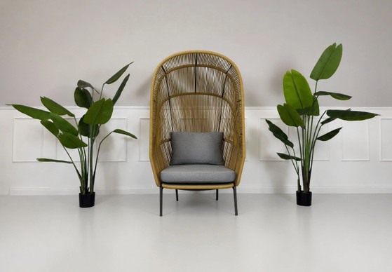 Image 1 of DEDON Rilly Cocoon Chair Gartenstuhl