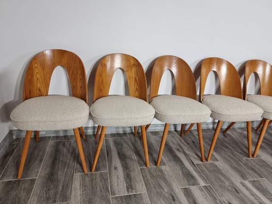 Image 1 of Dining Chairs from Antonin Suman, set of 12