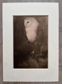 Jan Mankes 1889-1920 / Eliogravura originale Gufo su ramo d'albero 1923