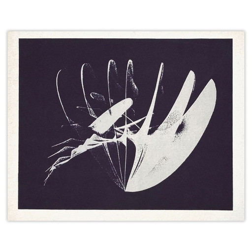 Enrique Broglia Siebdruckkomposition 1974 – lithos zeefdrukken, Paper (photo 2 of 5)