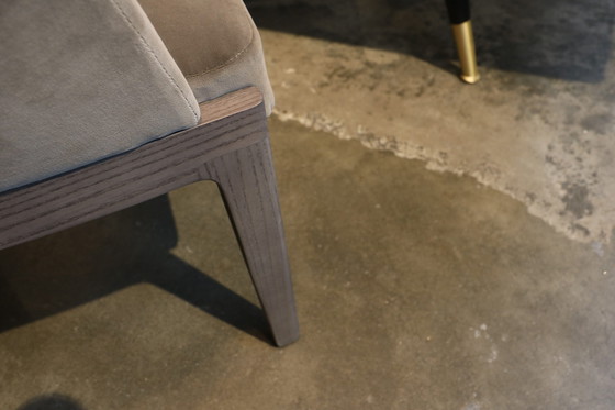 Image 1 of Sedia da pranzo Chelsea Molteni&C (set di 4)