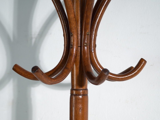 Bentwood Coat Stand in Beechwood – Austria-Hungary, Thonet Style, Circa 1900 – Coat racks, Metal (photo 28 of 36)