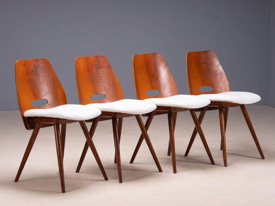 Set of 4 Vintage Chairs Tatra Pravenec “Gentleman” Mid-20th Century, Czechoslovakia, 81 × 39 × 40 cm (photo 3 of 8)