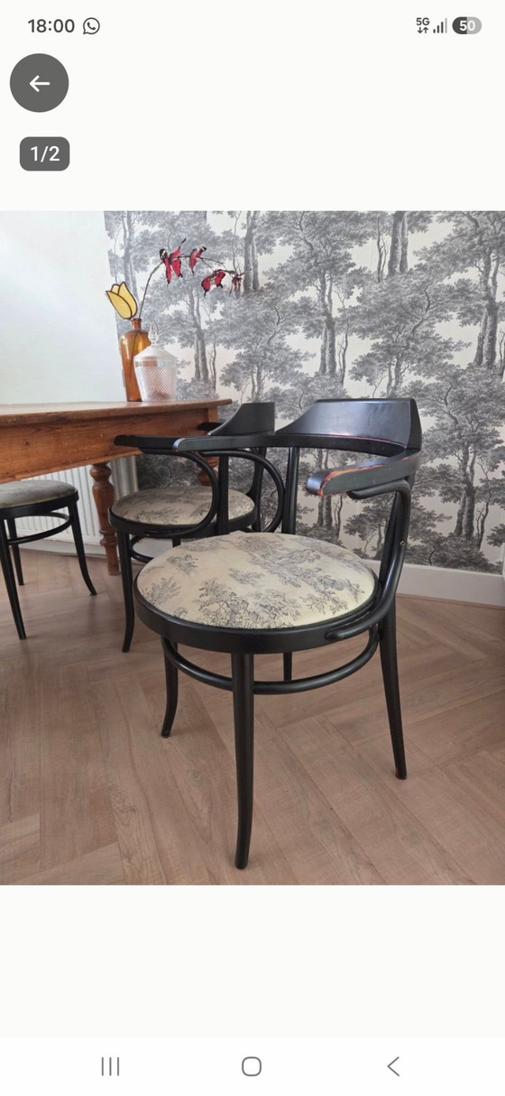 Chaises Thornet 4x – Thonet, Fauteuils, Textile, Bois (photo 4 of 5)