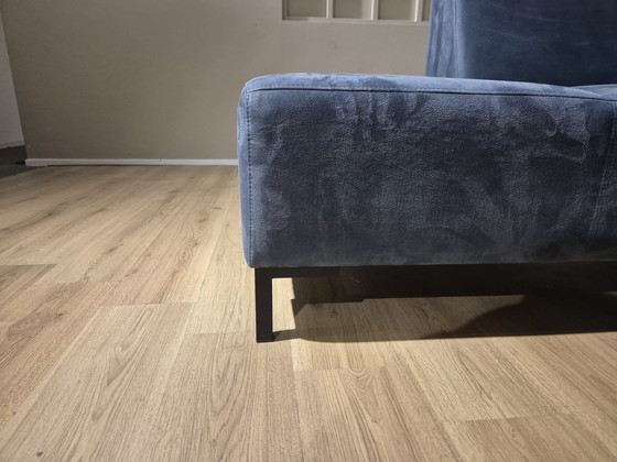 Image 1 of Montel Custom - Divano angolare - Velluto - Blu - Design