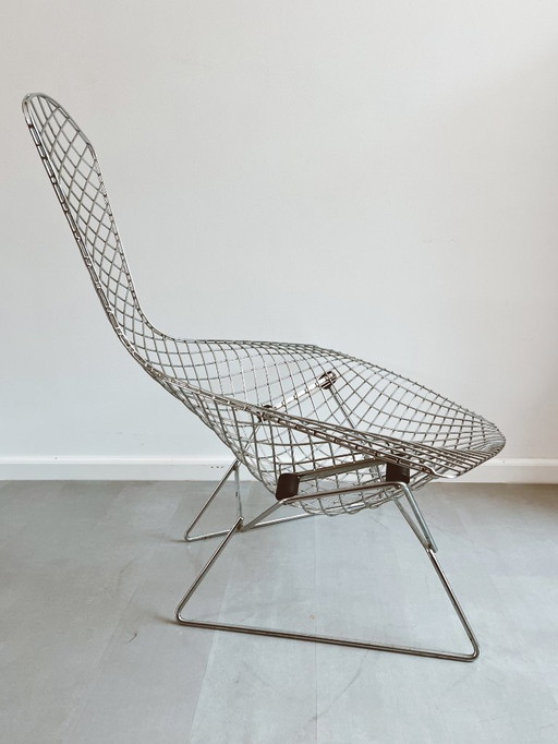 Vintage Knoll Harry Bertoia Bird Lounge Chair
