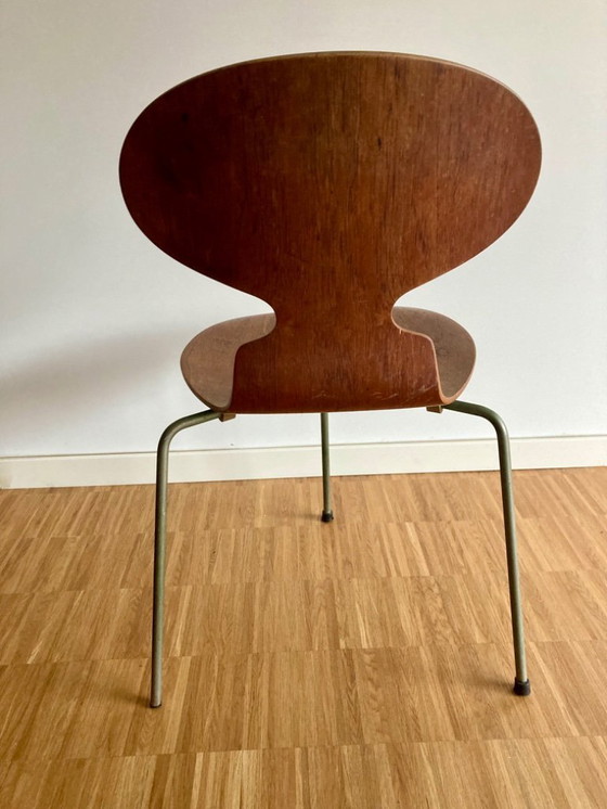 Image 1 of 2x silla Arne Jacobson Ant, originales ( años 50 )