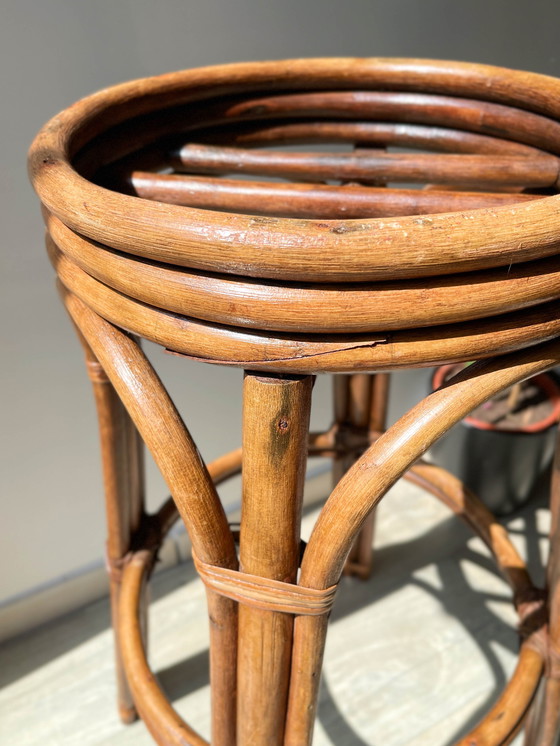 Image 1 of Sgabello da bar vintage in legno curvato, anni '50