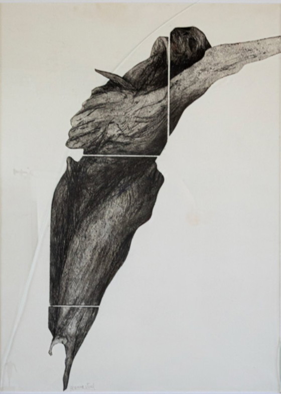 Image 1 of Mummie