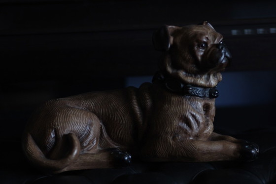 Image 1 of Bild eines Hundes