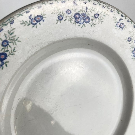 Image 1 of Round dish "Daisies", Sarreguemines, 1875 - 1920