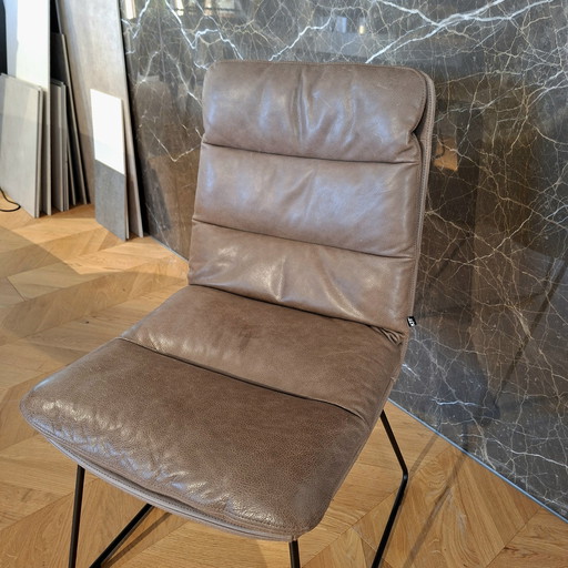 Arva, presidenta de KFF