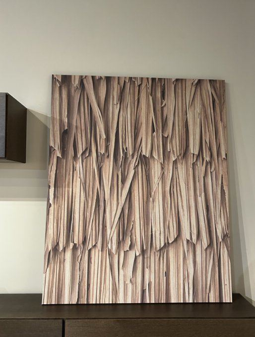 Image 1 of Boconcept - Layers of Leaves Kunstgalerie