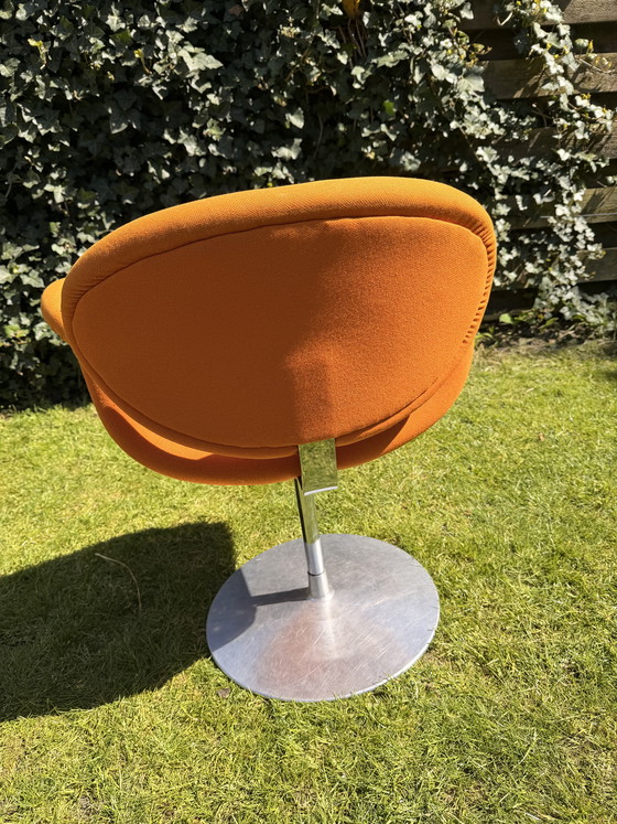 Image 1 of Little tulip Artifort (orange)