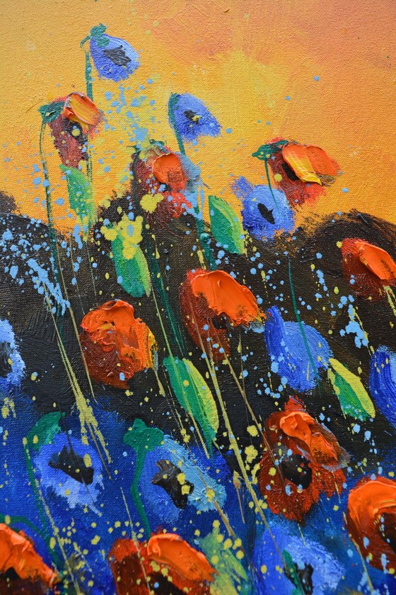 Image 1 of Coquelicots rouges