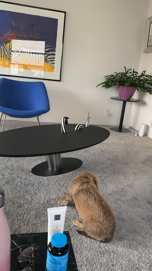 Designer Coffee Table – Bree's New World, salontafels, rvs