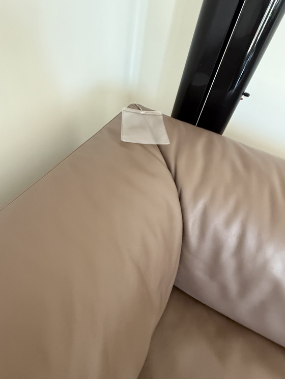 Image 1 of WALTER KNOLL Living landscape 730