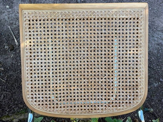 Image 1 of sedia in canna