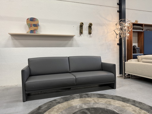 Rolf Benz Cara Sofa 220 Grau Leder Verstellbar