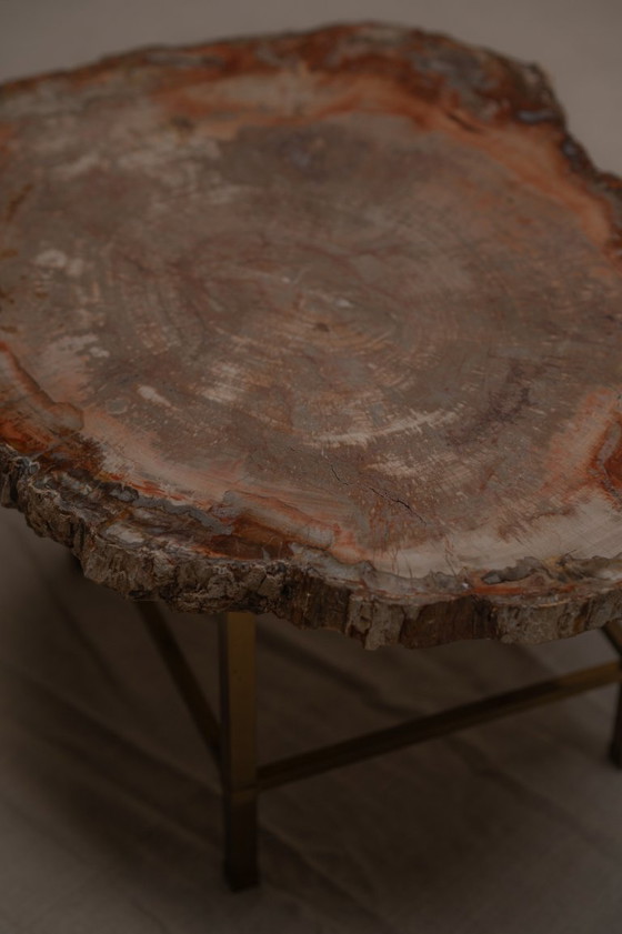 Image 1 of Table basse rare en bois pétrifié - années 1970