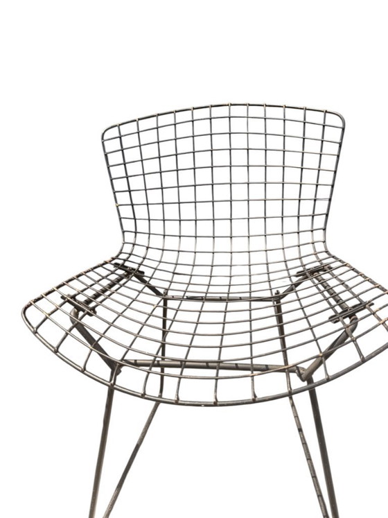 Image 1 of Ensemble authentique de 4 chaises Harry Bertoia Wire pour Knoll - Acier et coussins d'origine