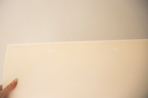 Image 1 of Grote Fine Art Fotoprint van Carlota Guerrero (geb. 1989)