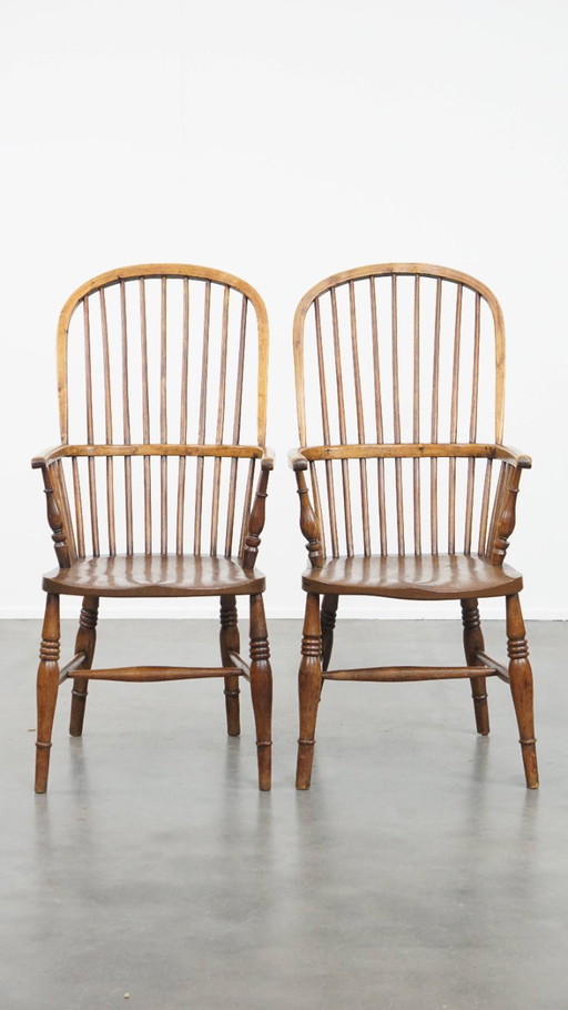  6 x Antique 19th century English Windsor stickback chair made of elm wood