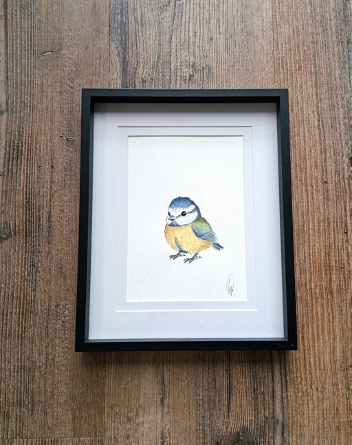 Origineel Aquarel Pimpelmeesje | Inclusief Lijst Frame – schilderijen tekeningen, Paper