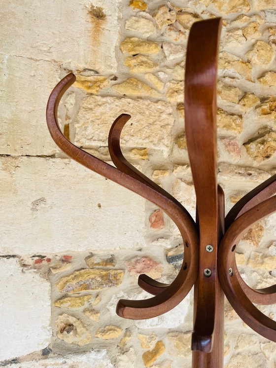 Image 1 of Appendiabiti in piedi, vintage, di metà secolo, in legno di Bentwood di Baumann, anni '60