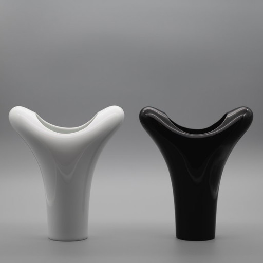 Rosenthal Studio Linie White & Black Porcelain SPIRIT Vase Duo by Platt & Young