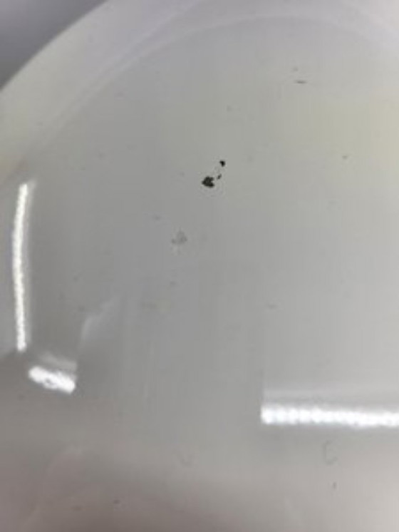 Image 1 of Revistero Ovo Stamp Branex France