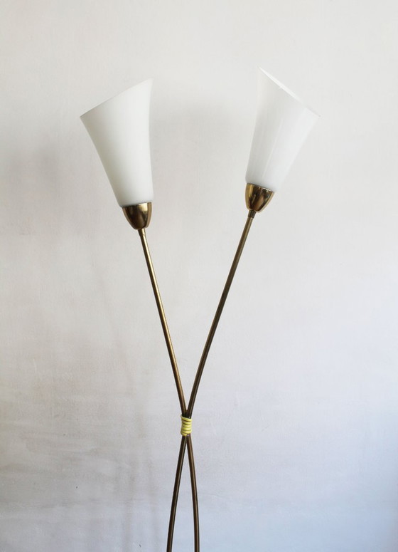 Image 1 of Organic Mid-Century Modern Floor Lamp in Brass and Milk Glass, Czechoslovakia
