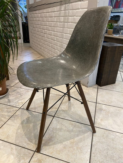 Sedia DSW, fibra grigio elefante, noce tassello, Eames Herman Miller vintage 1950