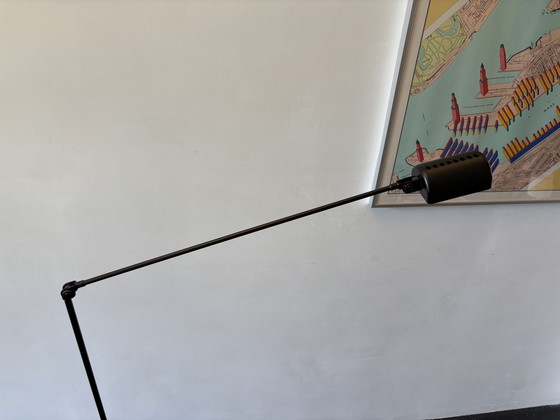 Image 1 of Lumina Daphine Terra Classic Black