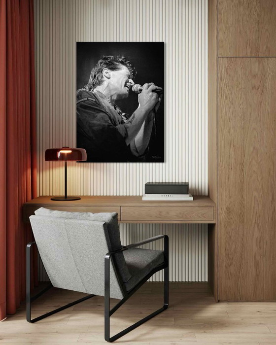 Image 1 of Herman couvée 1981 | Dibond avec Plexiglas 4/25