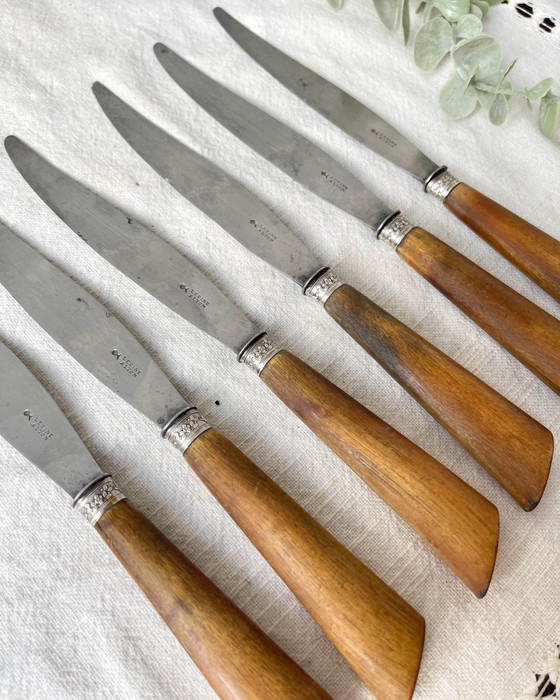 6 Coltelli Vintage Manico Corno e Argento, Lama Acciaio, LEPINE A LYON Francia, XIX Secolo (photo 9 of 10)